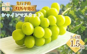 【2026年先行予約】　シャインマスカット約1.5kg（3~4房） FB041