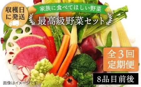 [全3回定期便][栽培期間中農薬・化学肥料不使用]こだわり 野菜 セット ( 8品前後 ) [糸島][オーガニックナガミツファーム] [AGE016] 野菜セット 野菜 やさい サラダ 詰め合わせ トマト とまと 野菜野菜セット 野菜やさい 野菜サラダ 野菜詰め合わせ 野菜トマト 野菜とまと 野菜ベビーリーフ 野菜水菜 野菜ハーブ 野菜オクラ 野菜人参 野菜にんじん 野菜ニンジン 野菜ほうれん草 野菜クレソン 野菜かぼちゃ 野菜カボチャ 野菜じゃがいも 野菜玉ねぎ