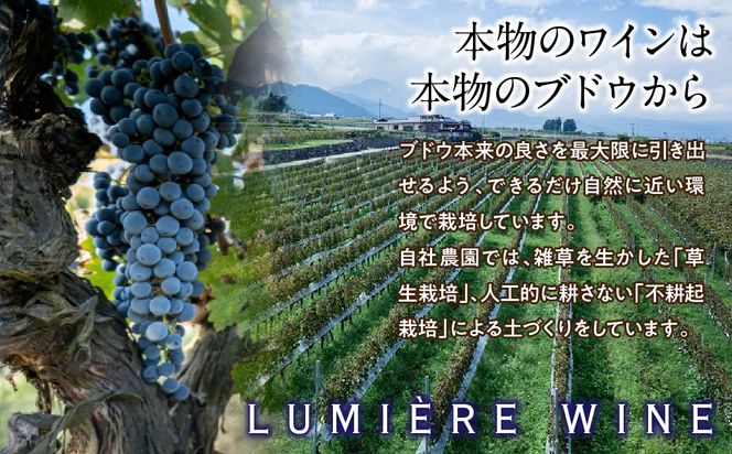 シャトールミエール　赤　063-002