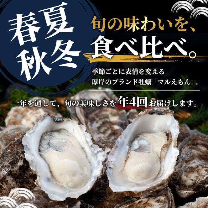 定期便 4回 季節によって味が違う！春夏秋冬「 牡蠣 」 【配送不可：沖縄・離島】 魚貝類 生牡蠣 かき マルえもん