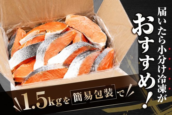 塩銀鮭切身 3.0kg (1.5kg×2箱)【MT0002TZ0】