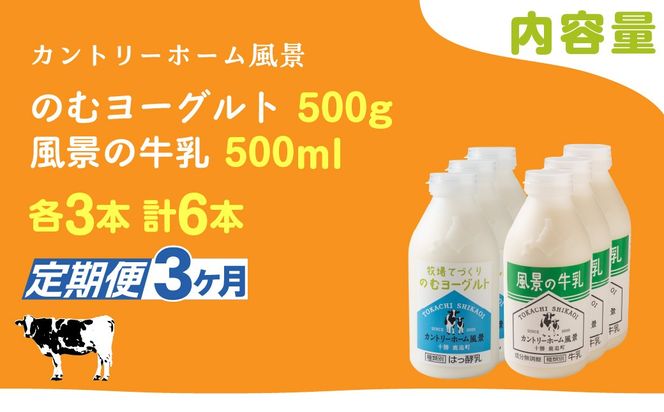 【定期3ヶ月】のむヨーグルト500g 風景の牛乳500ml 各3本 SKB108