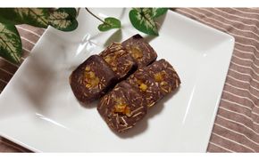 1221.【鳥取県産 爽やかショコラスイーツ】ショコラアーモンドサブレ 1袋 313726_BD102