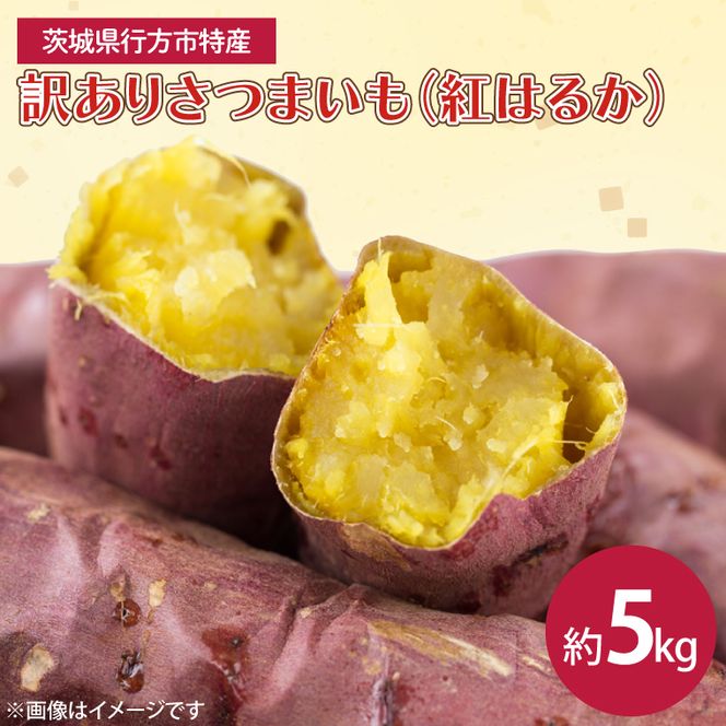 茨城県産 紅はるか 訳あり サイズミックス　約5kg｜訳あり わけあり 訳アリ さつまいも サツマイモ さつま芋 紅はるか べにはるか 芋 いも 茨城県産 行方市(FU-1)