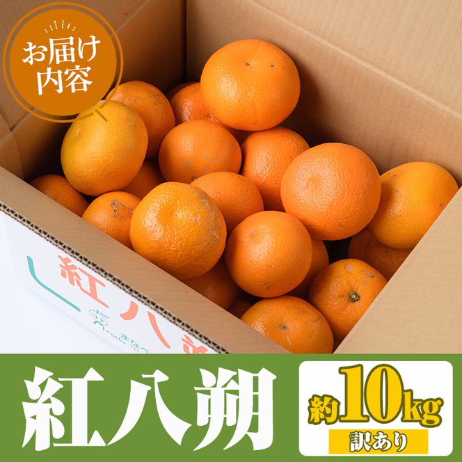 ＜先行予約受付中！2027年2月上旬以降順次発送予定＞訳あり！まなべみかん園の紅八朔(約10kg) 国産 鹿児島県産 阿久根市産 柑橘類 みかん 蜜柑 果物 ミカン デザート フルーツ 数量限定 期間限定 ご自宅用 ご家庭用【有限会社まなべみかん園】akn034-03