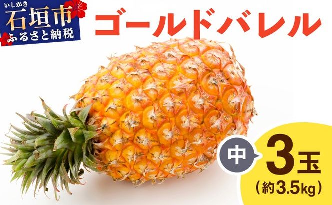 yꌧΊ_sz5{S[ho  3ʁi3.5kgj TP-16