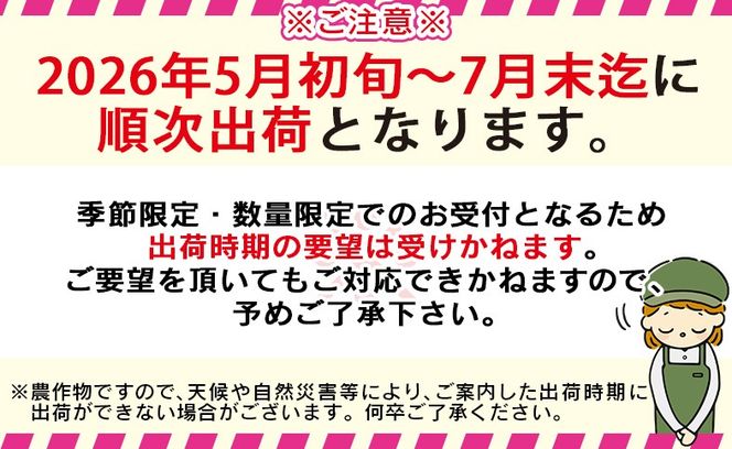 ＜訳あり 宮崎県産 完熟マンゴー 合計約1.5kg（3～5玉）＞入金確認後、2026年5月上旬～7月末迄に順次出荷【訳アリ ご家庭用 ご自宅 ご褒美 トロピカル 国産 果物 果実 フルーツ 南国 甘い 旬 濃厚（株）ワールドワイドトレード 宮崎県 国富町】【 b0983_ww】