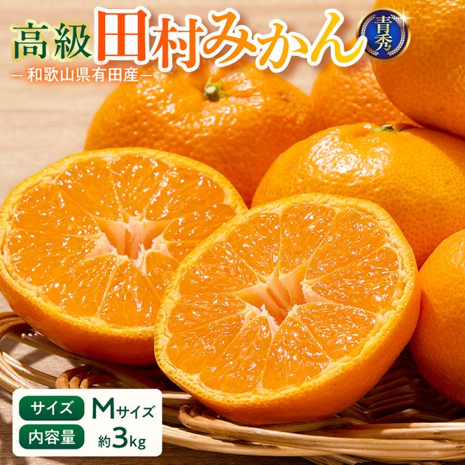 「高級 田村みかん」 青秀 約3kg Mサイズ 和歌山県有田産 有田みかん_U6239n