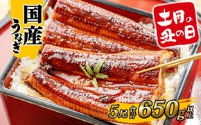 【土用の丑の日までにお届け】うなぎ 蒲焼 5尾 650g以上 国産 鰻 人気 うなぎ蒲焼き うな重 簡易袋 魚 魚介 ギフト K2396