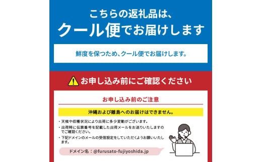 【2025年先行予約】数量限定！山梨県産シャインマスカット約1㎏（2房）