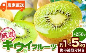 先行予約 厳選 キウイ フルーツ 約1kg 約2.5kg 約5kg 各＋250g (傷み補償分) 池田鹿蔵農園@日高町（池田農園株式会社）《11月中旬～2027年4月下旬出荷》和歌山県 日高町 キウイ キウイフルーツ 果物 フルーツ きうい 【配送不可地域あり】---wsh_idn377_11c4g_26_8000_1kg---