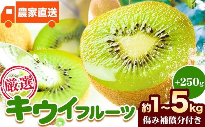 先行予約 厳選 キウイ フルーツ 約1kg 約2.5kg 約5kg 各＋250g (傷み補償分) 池田鹿蔵農園@日高町（池田農園株式会社）《11月中旬～2027年4月下旬出荷》和歌山県 日高町 キウイ キウイフルーツ 果物 フルーツ きうい 【配送不可地域あり】---wsh_idn377_11c4g_26_8000_1kg---
