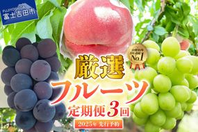 【2025年先行予約】【 定期便 】 厳選 フルーツ 3回 定期便 シャインマスカット 桃 黒ぶどう 果物 フルーツ くだもの 旬 もも ぶどう 高級 山梨 富士吉田