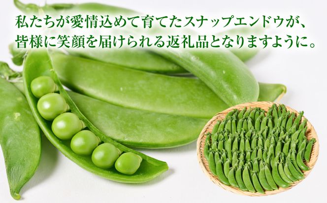 産地直送 スナップエンドウ 700g えんどう 豆 シャキシャキ食感 甘い 旬 野菜 やさい 新鮮 熊本県 八代市