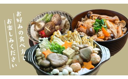 きのこ の 詰め合わせ Lサイズ( 約2kg ) （茨城県共通返礼品：城里町） キノコ セット 野菜 低カロリー ダイエット デトックス バラエティ セット 新鮮 [DY003us]