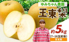 『ゆみちゃん農園』甘太梨 玉東梨 約5kg 7玉-16玉前後 《2026年8月下旬-10月上旬頃出荷》熊本県玉名郡玉東町 梨 なし 果物 フルーツ 旬の梨---sg_cyumikanta_l810_r8_15000_5kg---