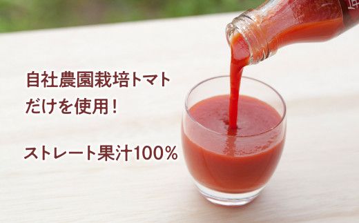 トマトジュース 無塩 無添加 毎日フルトマ（レッド100ml）12本セット 100ml × 12本入 1本に約5個分のフルーツトマト 糖度8度以上 ドリンク 飲み物 【池トマト】 [BQAG003]