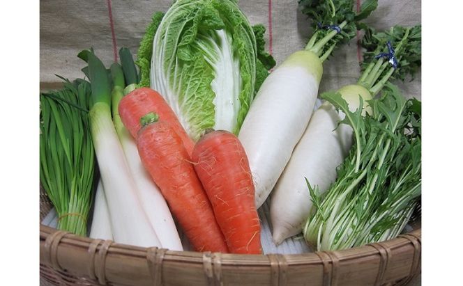 定期便 野菜セット 年4回 春夏秋冬 おまかせ 10～15種 旬 朝倉市産　着日指定不可 配送不可 離島 詰合せ 