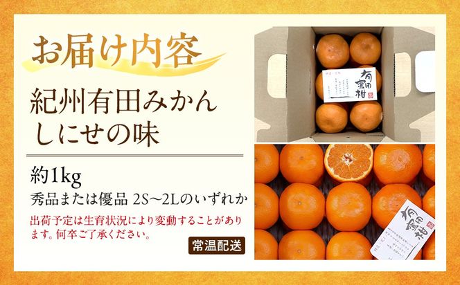 有田みかん しにせの味 約1kg 2S～2Lのいずれか 秀品または優品 K010