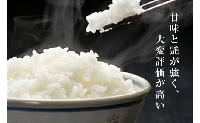 令和8年産米 先行予約 新米 極上魚沼産コシヒカリ 令和8年産米 2kg(1kg×2)【先行受付10月下旬～順次発送】 ゆきまち米