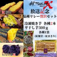 【新プロジェクトX放送～行方かんしょ～】 （冷凍焼き芋4種×2本・平干し芋300ｇ各種1袋セット）|茨城県 行方市 ふるさと納税 冷凍焼き芋 やきいも 平干し芋 ほしいも 紅はるか 紅優甘 紅まさり ひめあやか 紫福（AE-160）