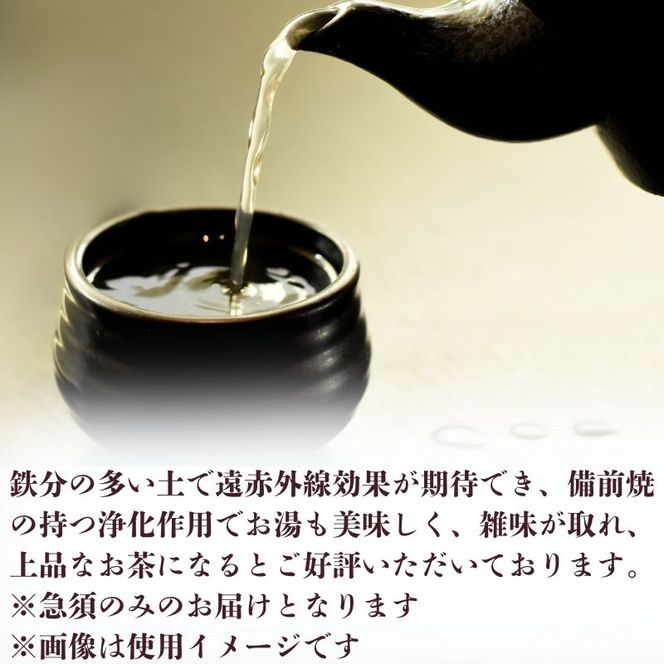 備前焼　急須（食洗機可）