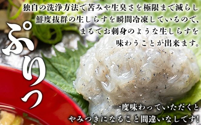 生しらす 6パック 計420ｇ 小分け 特製タレ付 国産 早い 特選 特製タレ付 料理 アレンジ しらす シラス 生シラス 稚魚 魚介 魚 海産物 鮮度抜群 瞬間冷凍 やみつき ごはんのお供 fa-0007