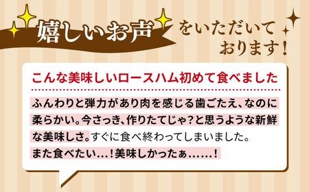 【全6回定期便】【本場ドイツで連続金賞受賞】マイスター ギフト セット 10種 詰め合わせ （ ハム / ソーセージ / ウインナー） 糸島市 / 糸島手造りハム [AAC023]