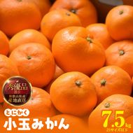 【2026年先行予約】みかん とにかく 小玉 箱込 7.5kg ( 内容量 6.8kg ) 2Sサイズ以下 秀品 優品 混合 有田みかん 和歌山県産 産地直送 【みかんの会】_MK1052