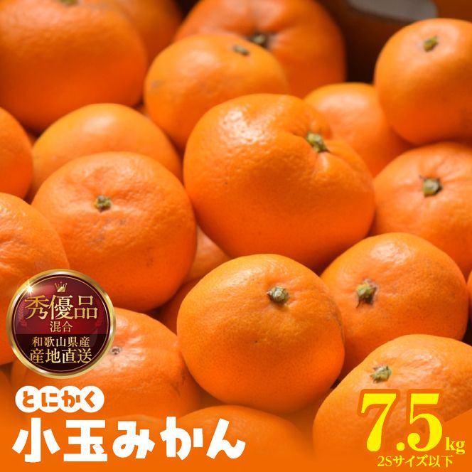 【2026年先行予約】みかん とにかく 小玉 箱込 7.5kg ( 内容量 6.8kg ) 2Sサイズ以下 秀品 優品 混合 有田みかん 和歌山県産 産地直送 【みかんの会】_MK1052