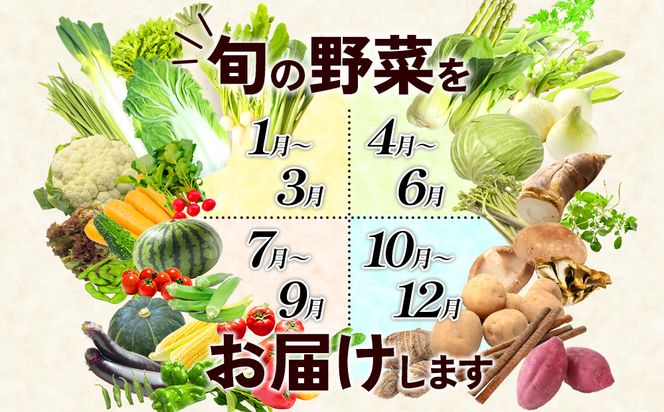 【12回定期便】特別栽培季節のお野菜セット 8品 野菜 無農薬 有機栽培 新鮮 やさい 旬 詰合せ 国産 宮崎県 九州 送料無料