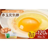 【3ヶ月定期便】【山ちゃん家の生みたて葉酸たまご】赤玉元気卵（40個入り）［132Y07-T］