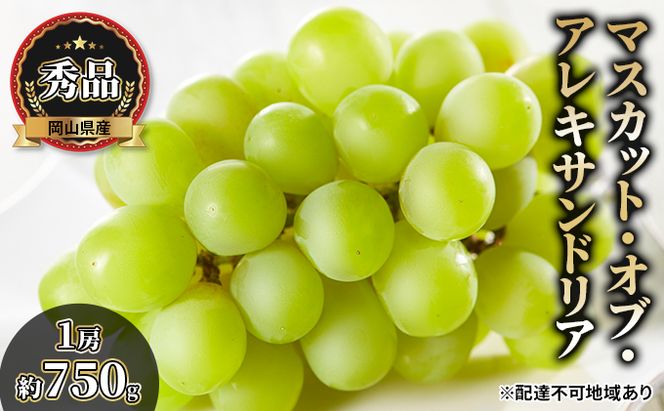 ぶどう 2026年 先行予約 マスカット・オブ・アレキサンドリア 秀品 1房約750g 化粧箱入り ブドウ 葡萄  岡山県産 国産 フルーツ 果物 ギフト 