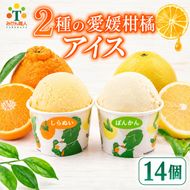 柑橘アイス カップ 14個 (2種 各7個入り) 【河内晩柑 しらぬい】 アイス ジェラート シャーベット ソルベ アイスクリーム ランキング 人気 贈答用 プレゼント みかん 柑橘 かんきつ 愛南ゴールド 不知火 デコポン冷凍 冬 夏 みかん職人武田屋 愛媛県 愛南町