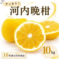 【10営業日以内発送】河内晩柑 ばんかん 約 10kg 家庭 柑橘 かんきつ フルーツ 果物 くだもの すぐ届く 早い 甘い さっぱり  厳選 愛媛 みかん 蜜柑 愛南 ご当地 ブランド 野菜 サラダ ピール ゼリー お菓子 デザート マルエム直販 愛媛県 愛南町