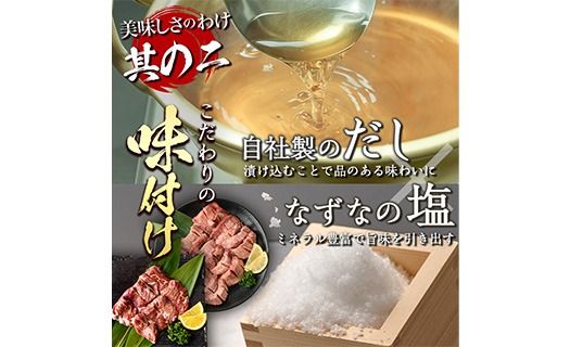 ＜定期便・全6回 (2か月ごとの発送)＞ 特選 牛タン ・ 牛ハラミ セット (総量4.8kg) 定期便 小分け 牛肉 肉 タン 牛たん ハラミ 牛はらみ 詰め合わせ 味付け 焼肉 塩 BBQ 冷凍 大分県 佐伯市【DH328】【ネクサ】