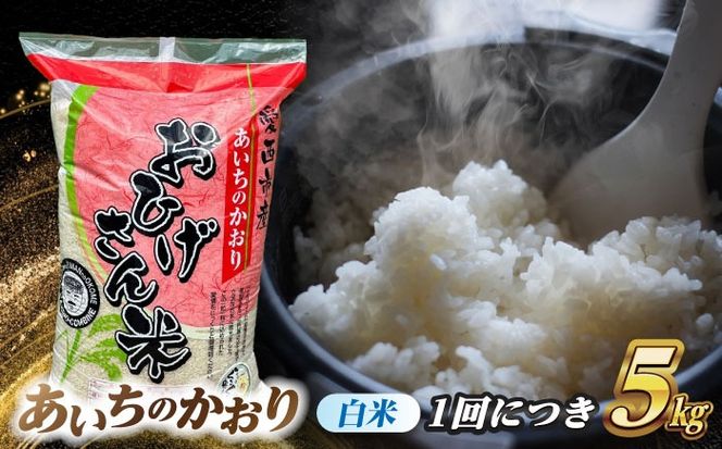 【3回定期便】あいちのかおり 白米 5kg×3か月 / 脇野コンバイン[AECP004]