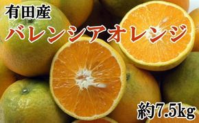 【爽快】有田産バレンシアオレンジ 約7.5kg（M～2Lサイズおまかせ）★2025年6月中旬より順次発送予定【TM168】 BZ082