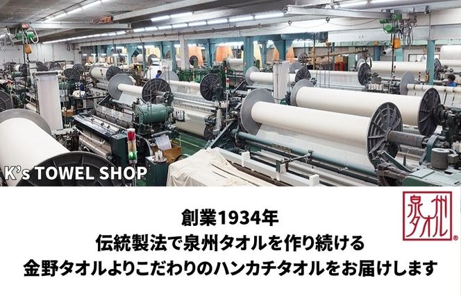 099H3908 【Shinzi Katoh × 金野タオル】  宮沢賢治幻燈館『賢治のトランク（刺繍）』 タオルハンカチ 5枚セット （泉州タオル ギフト 刺繍 かわいい 綿100％ 日本製 国産）