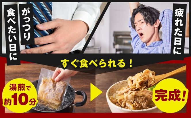 G4516 スタミナ丼の具 1.5kg（150g×10パック）湯煎 簡単調理