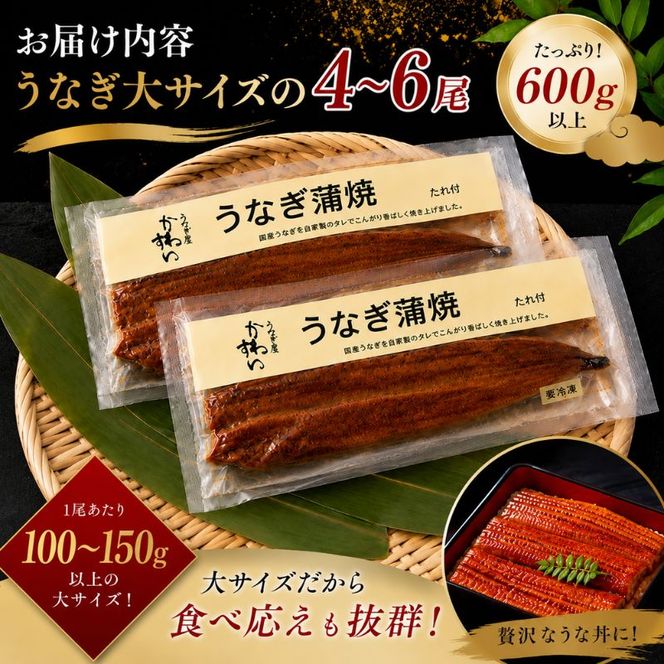 国産うなぎ  蒲焼き 大サイズ 4～6尾セット(合計600g) タレ付き 国産 うなぎ ウナギ 鰻 蒲焼 かば焼き セット 惣菜 冷凍 土用