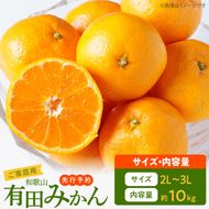ご家庭用　和歌山有田みかん 約10kg (2L、3Lサイズ)【湯浅町】_AT6314