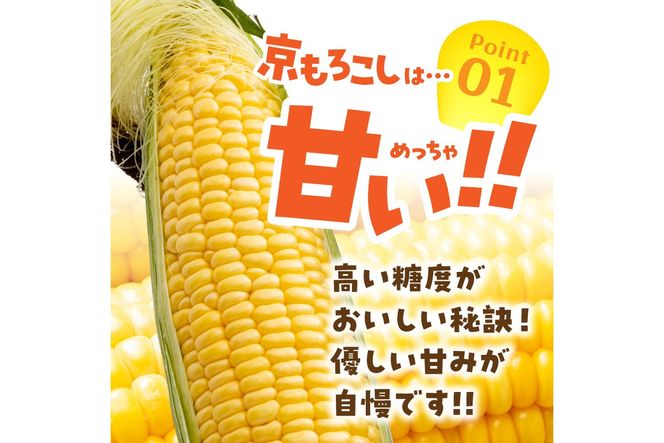 ＜てんとうむしばたけ＞有機とうもろこし5本　有機野菜 甘い 野菜 ふるさと納税 とうもろこし 期間限定 とうもろこしごはん かき揚げ 有機 オーガニック 産地直送 旬野菜 旬 コーン バター ペッパーランチ シャキシャキ 弾ける 丸ごと かぶりつきBR00029