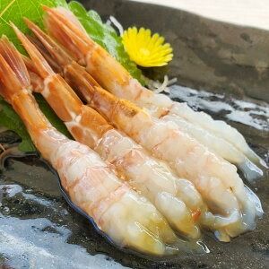 【ふるさと納税】【2ヵ月毎定期便】山陰の地エビ食べ比べコース 全3回 隔月 2ケ月毎 定期便 定期 3回 海老 えび エビ 甘エビ 甘えび ガラエビ ドロエビ モサエビ 各500g以上 合計1.5kg 刺身 刺し身【配送不可地域：離島】【4000704】 兵庫県 新温泉町 送料無料