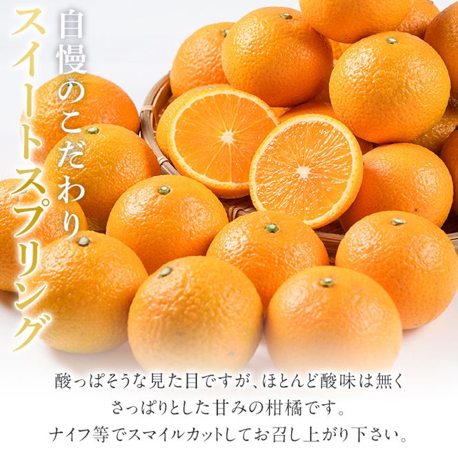 ＜先行予約受付中！2026年12月中旬以降順次発送予定＞ 訳あり！鹿児島県産スイートスプリング(計約10kg・37～43個程) 柑橘 果物 フルーツ 旬 デザート 国産 鹿児島県産 阿久根市産 小玉 数量限定 期間限定 訳アリ ノーワックス【三笠農業生産】akn051-03