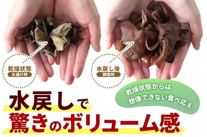 国産 乾燥きくらげ 100g 天日干し 秋田県北秋田市産 [きくらげ 木耳 キクラゲ 乾燥 手のひらサイズ 秋田県 北秋田市]|grmy-020201