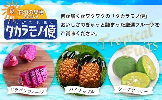 《2026年夏に順次発送予定》石垣島の夏「果物」詰め合わせ～夏のタカラモノ果物便～【 産地直送 沖縄 石垣 石垣島 くだもの トロピカルフルーツ 果物 南国 フルーツ 詰め合わせ フルーツ便 】SH-5