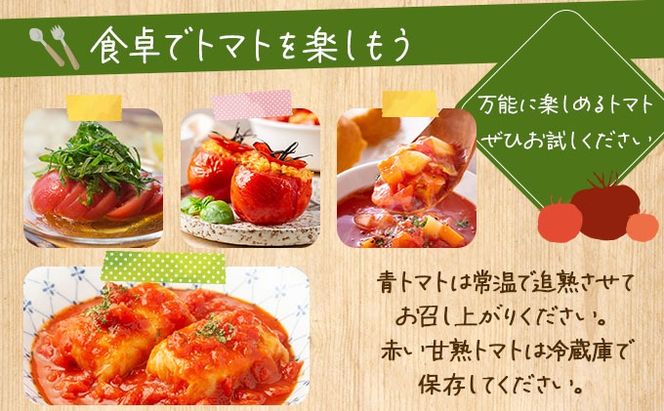 ◆2026年7月から順次出荷◆ farmユメソラ 大玉 トマト 約4kg【famy-001】