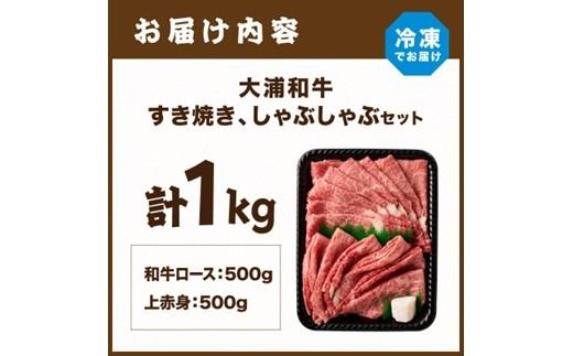 大浦和牛すきやき・しゃぶセット（1kg）【2405A00207】