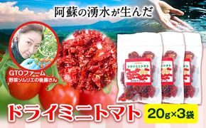 ドライミニトマト セット 60g トマト ミニトマト 野菜 GTOファーム 熊本県 南阿蘇村《7月上旬-10月末頃出荷》---sms_gtodmt_af710_26_4500_60g---